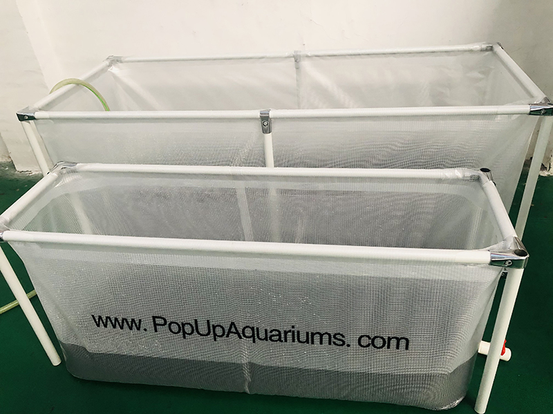 PVC fish farming tank Tanque de cultivo de peces de pvc, tanque de peces para cultivo de peces, tanque de peces biofloc, tanque de cultivo de peces, tanque de biofloc