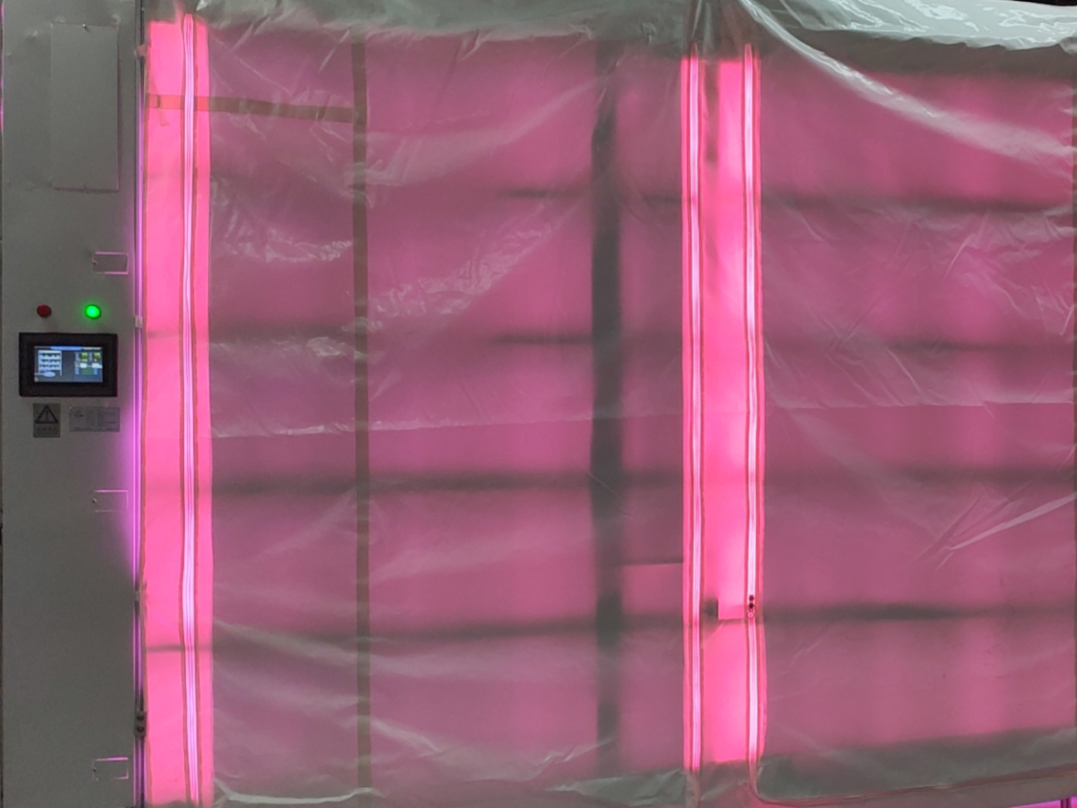 agricultura de invernadero